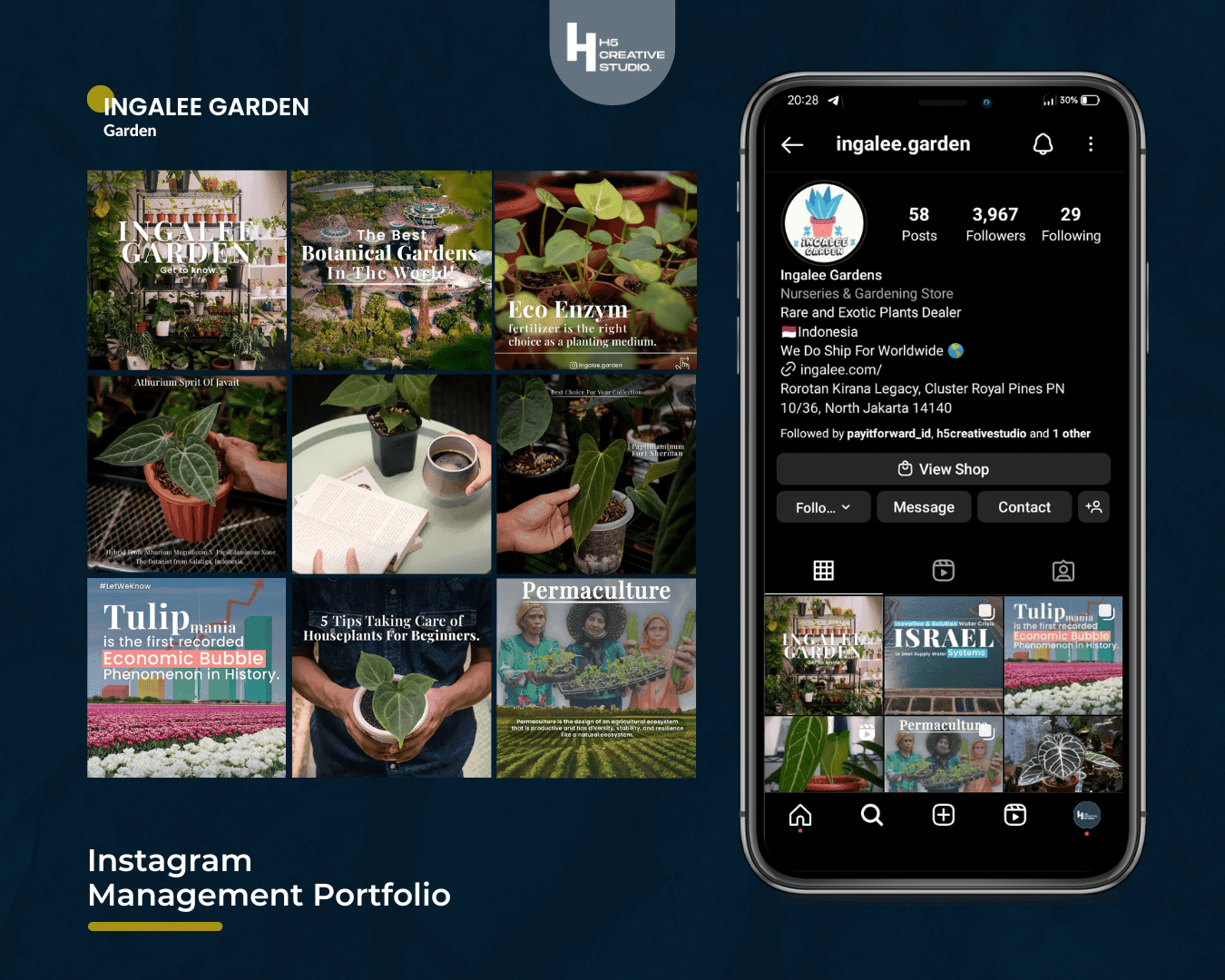 Portofolio H5 Creative For WA
